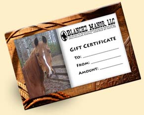 Blanche Manor Gift Certificates