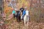 Trail rides through the Blue Ridge Mountains are fun any time of the year - Winter, Spring, Summer and Fall. 